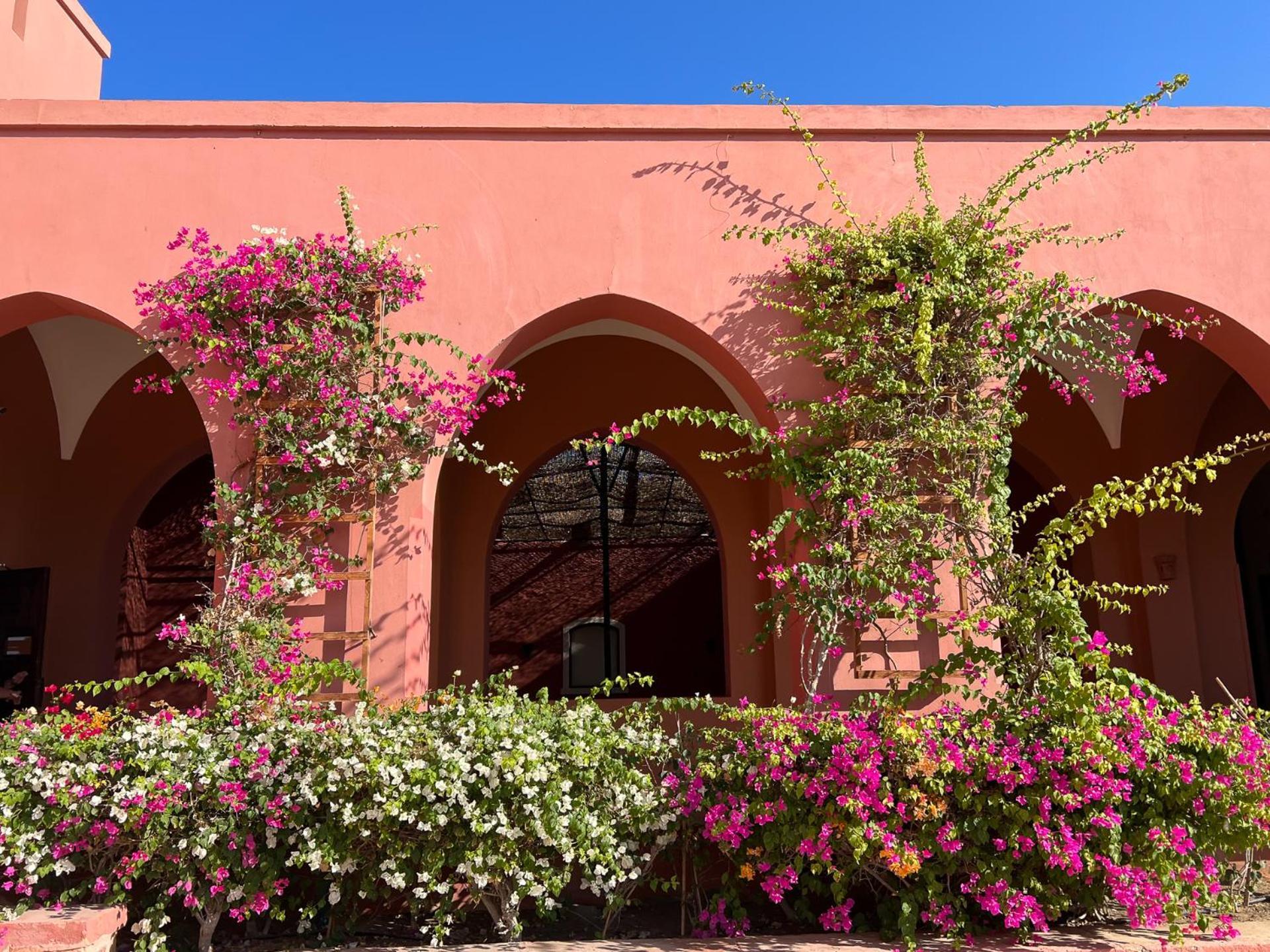 Radisson Blu Resort El Quseir El Qoseir Exterior foto